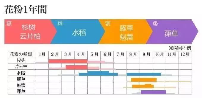 又到了花粉过敏的季节,为什么日本花粉症这么多