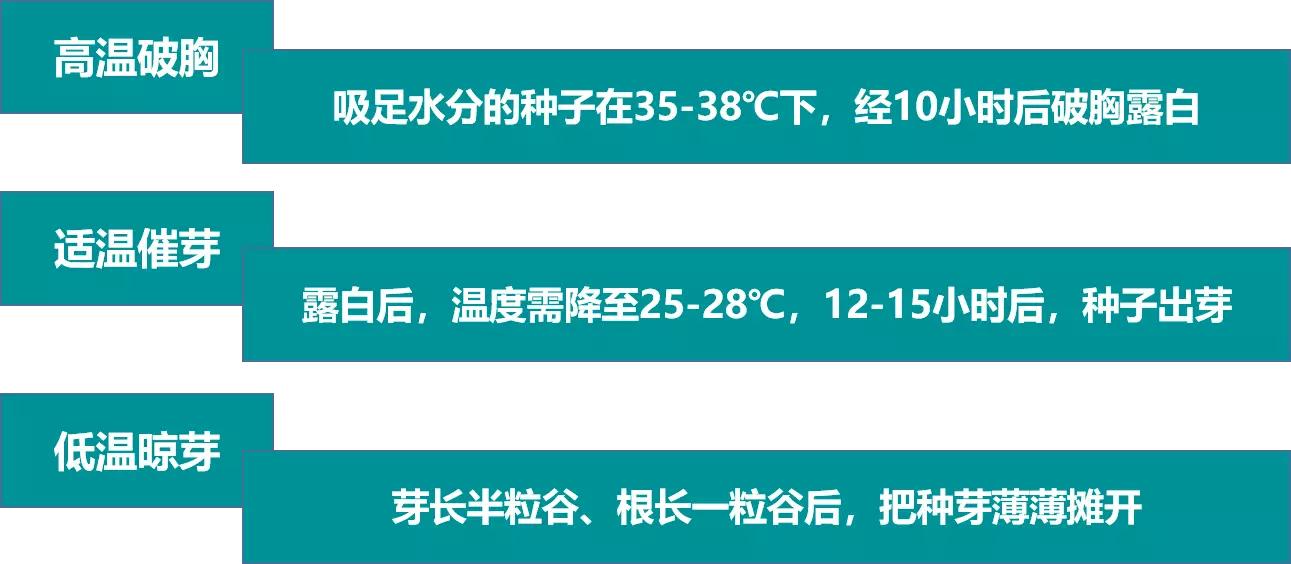 老司机快上车方法,老司机是如何收割水稻的