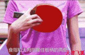 乒乓球系统训练计划明细表,乒乓球基础教练教学书籍