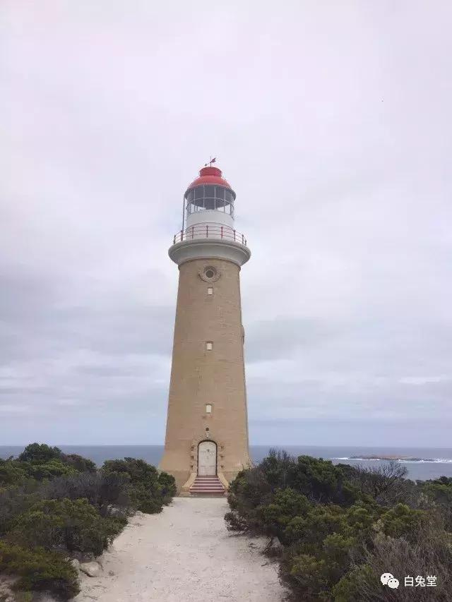 「白兔堂」可能只有不到10%的游客在澳洲玩到了这些！你玩对了吗？