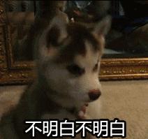 字典里奇怪的字,字典符号大全