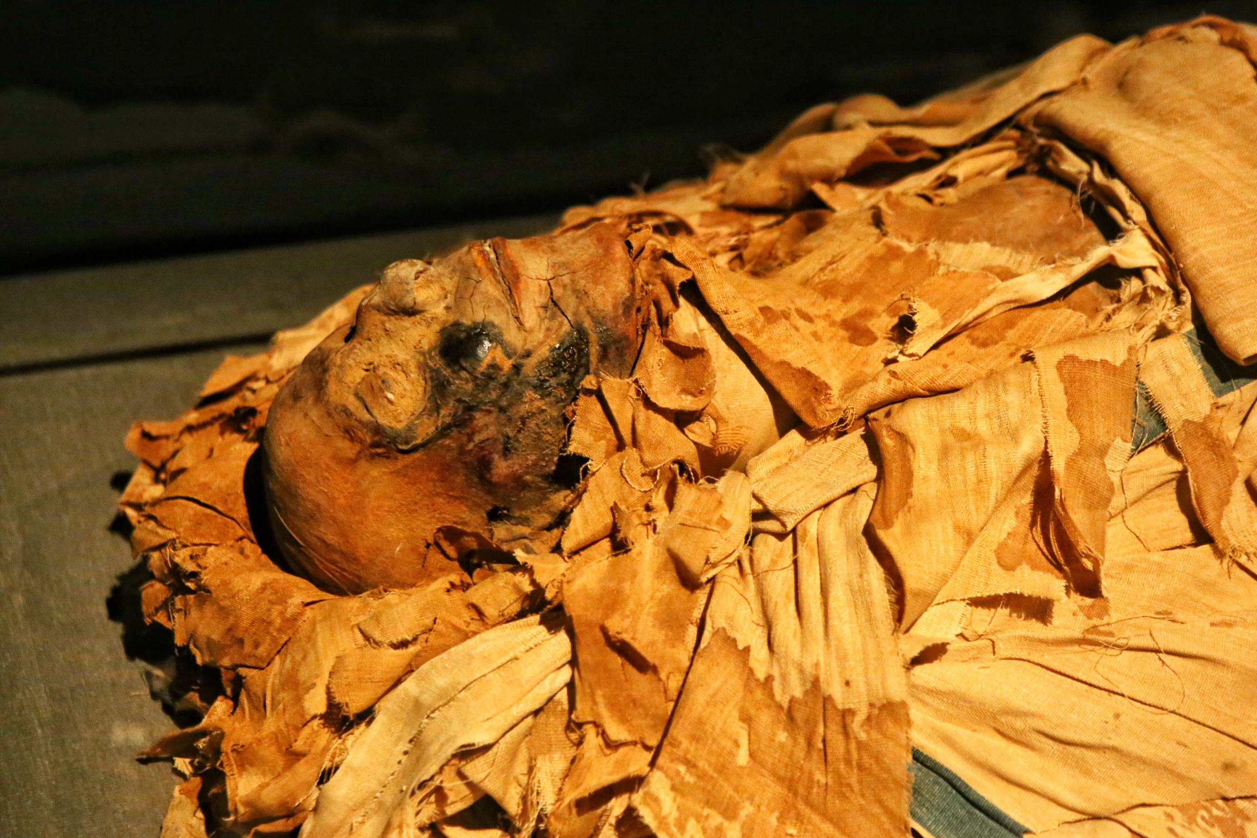 美国休斯顿:不只有火箭,看看这座城市有多强大