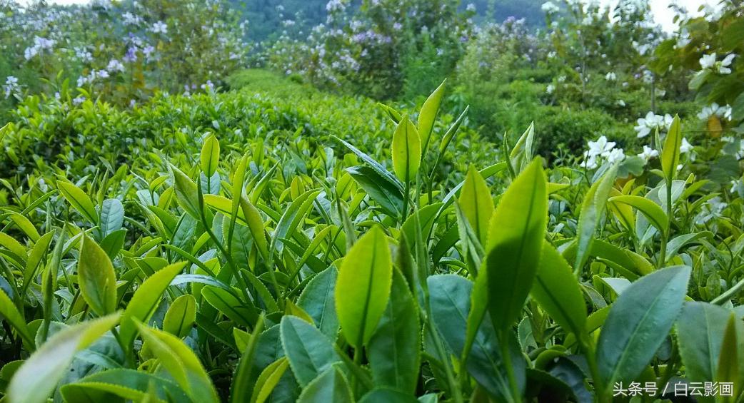 英德宝晶宫附近水浸新闻,英德宝晶宫省钱游玩攻略