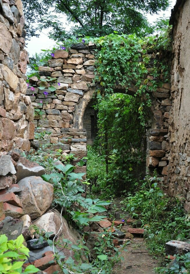 温暖的庇佑[文心-诗思-情怀]