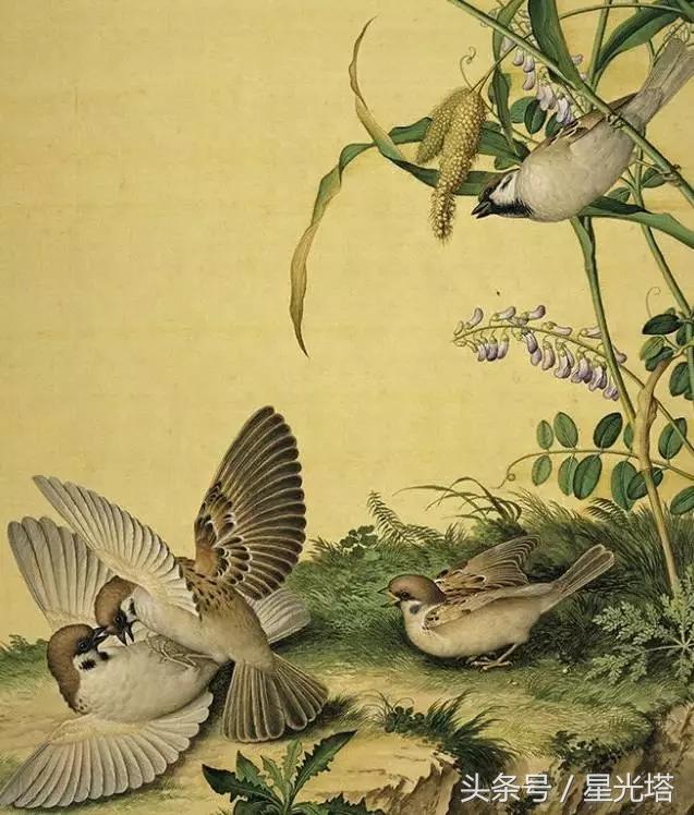 雄性激素过高的表现女生,男孩雄性激素过高怎么办