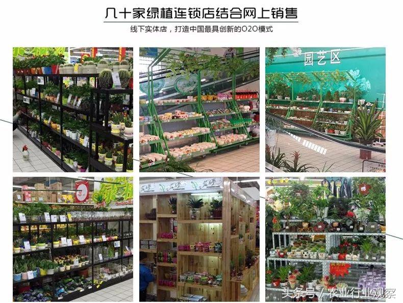 卖盆景一年挣多少钱,没有商业头脑的男人