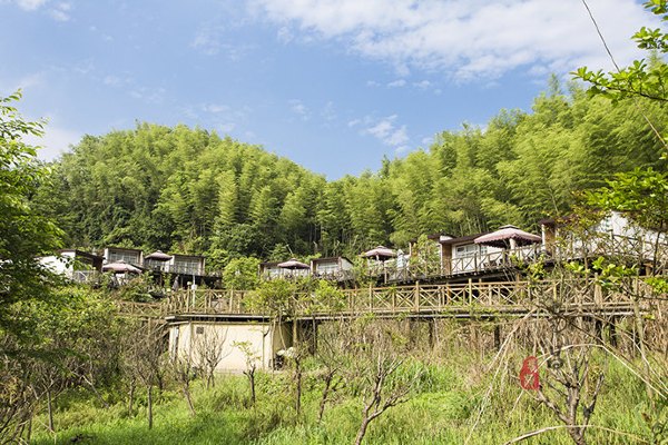 养在深闺里无人知,养在深闺无人识全文