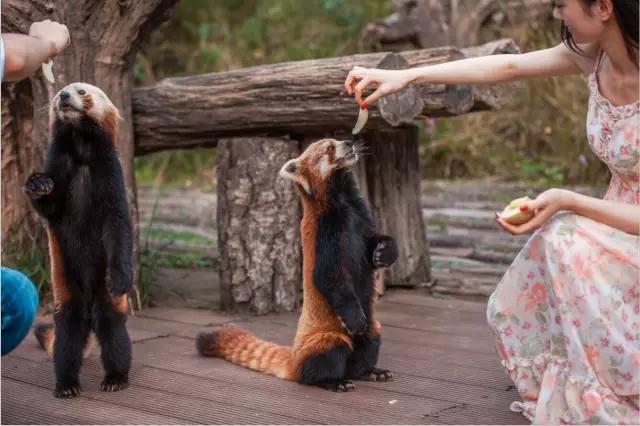 云南纳木错国家公园,云南昆明发现一个超大好玩的公园