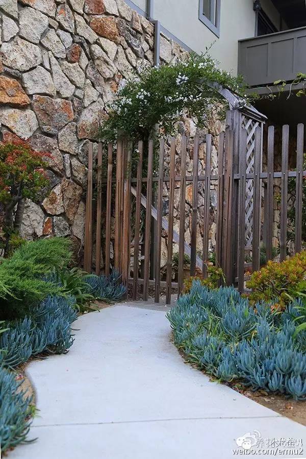 必看|台湾是中国的,多肉是世界的!