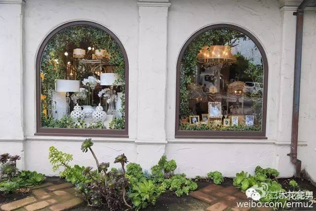 必看|台湾是中国的,多肉是世界的!