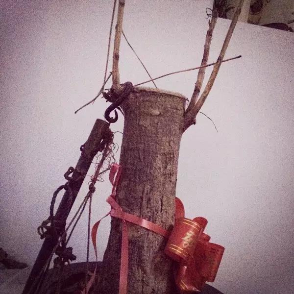 水浇多了补救视频,水浇多了变稀泥怎么办