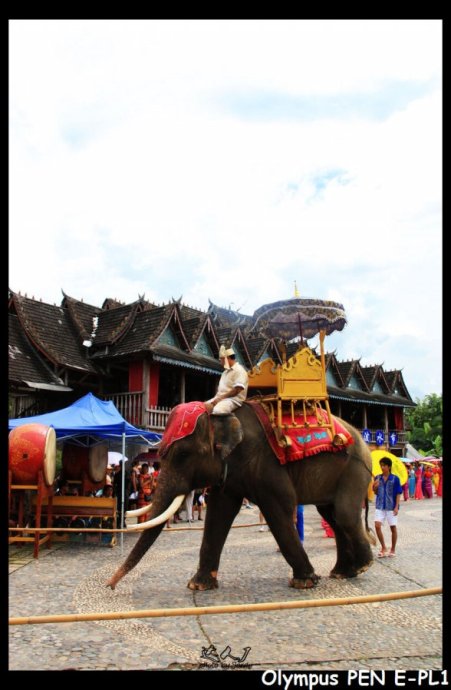 爱你所以气你,爱你所以放你走歌曲