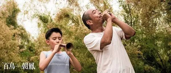 看百鸟朝凤观后感500字,听百鸟朝凤有感