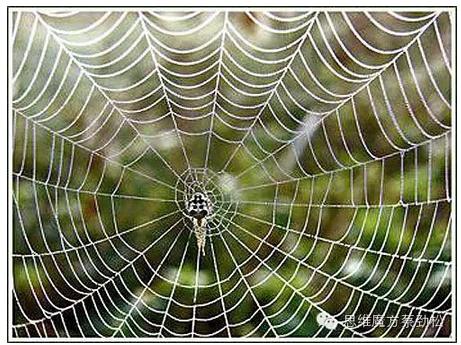 自然教育课程设计思维导图,自然特征与农业思维导图