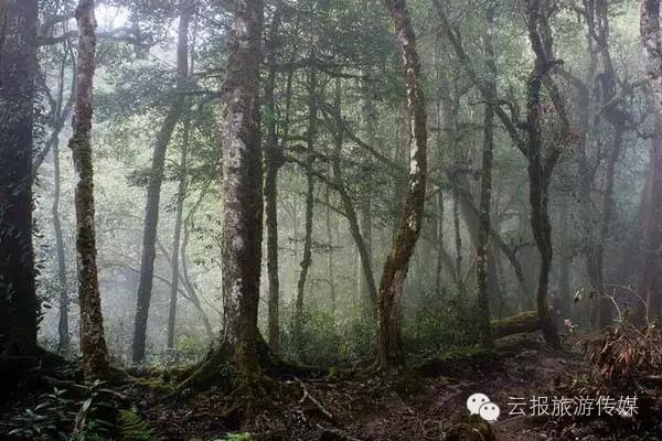 云南纳木错国家公园,云南昆明发现一个超大好玩的公园