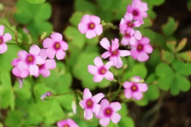 武汉旅游攻略最佳线路推荐一下,武汉沿地铁线有哪些好玩的地方