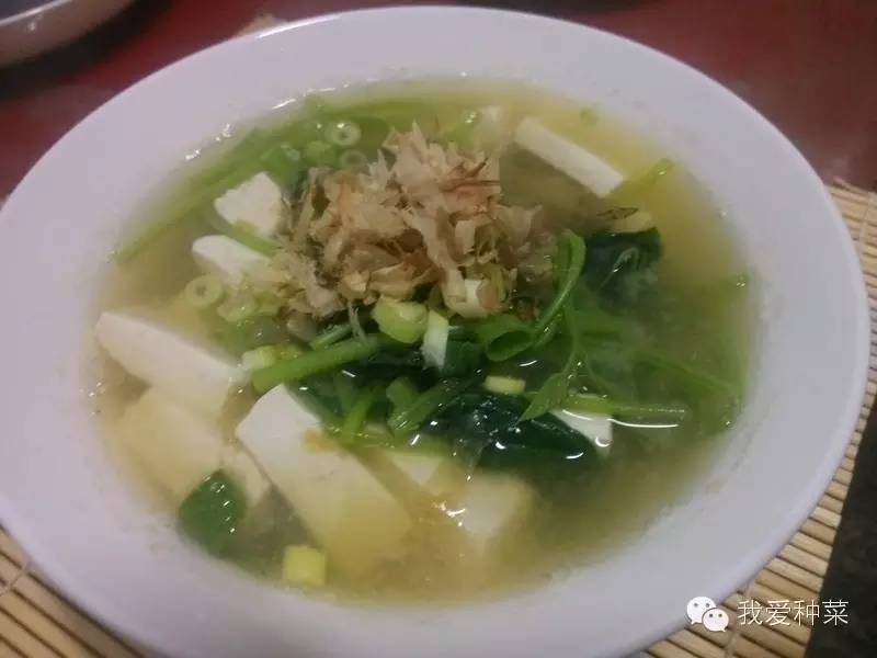 发芽的红薯千万不要丢掉,家里发芽的红薯怎么种