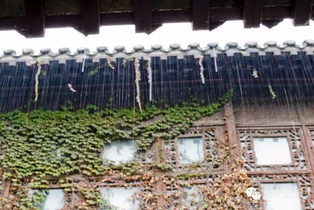 一句话证明你是人,一句话证明是不是真正的中国人