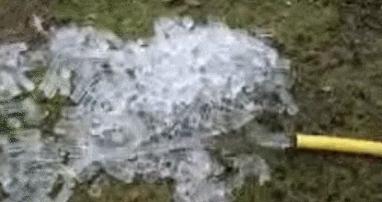 进来用手机截图,截到哪个明星,未来你的老婆就长那样