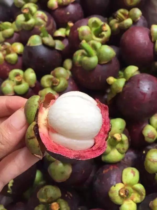 合肥惊现光速水果外卖,最晚到凌晨12点,这么任性的只有它了!