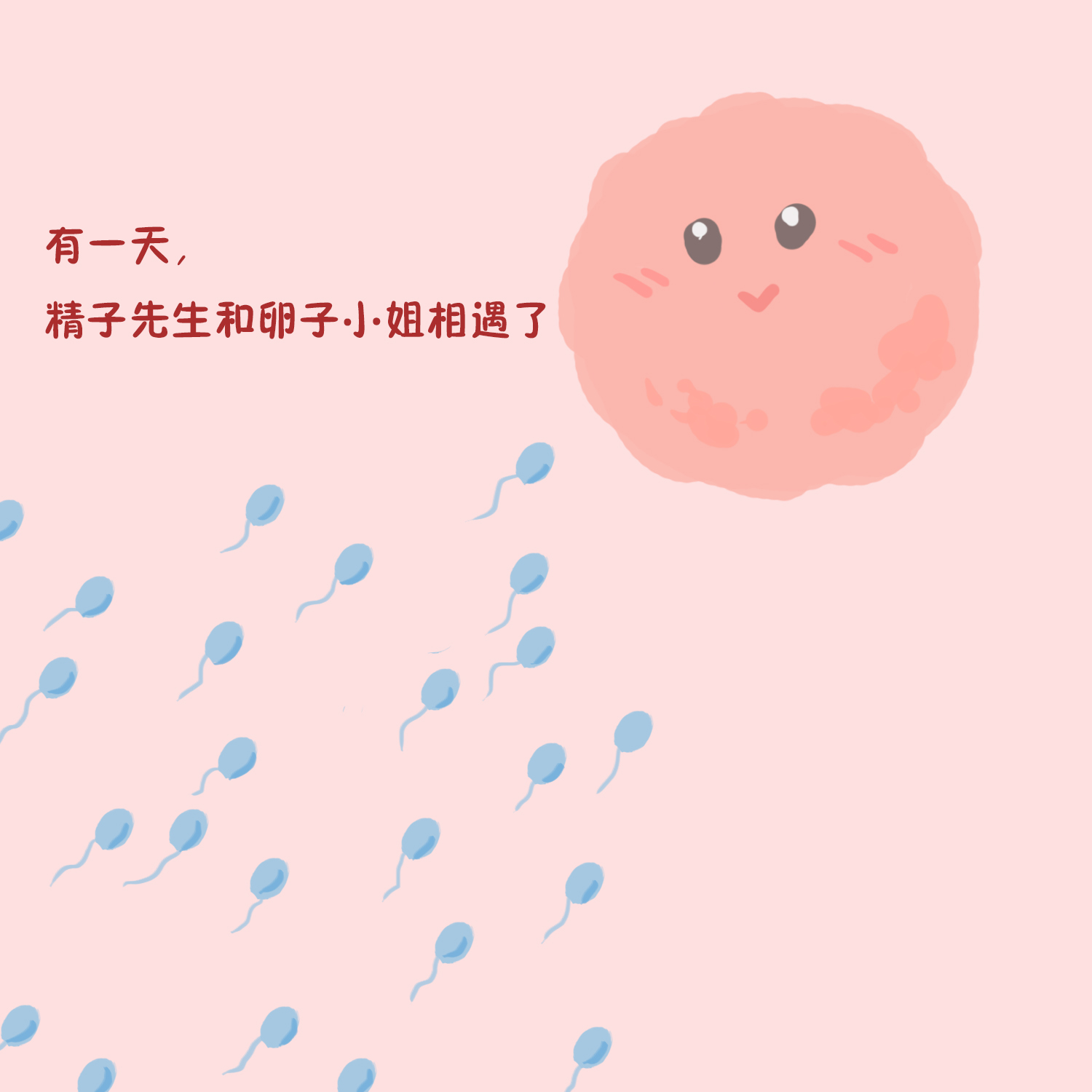 如何回答孩子我从哪里来这个问题,孩子从哪里来该怎么回答