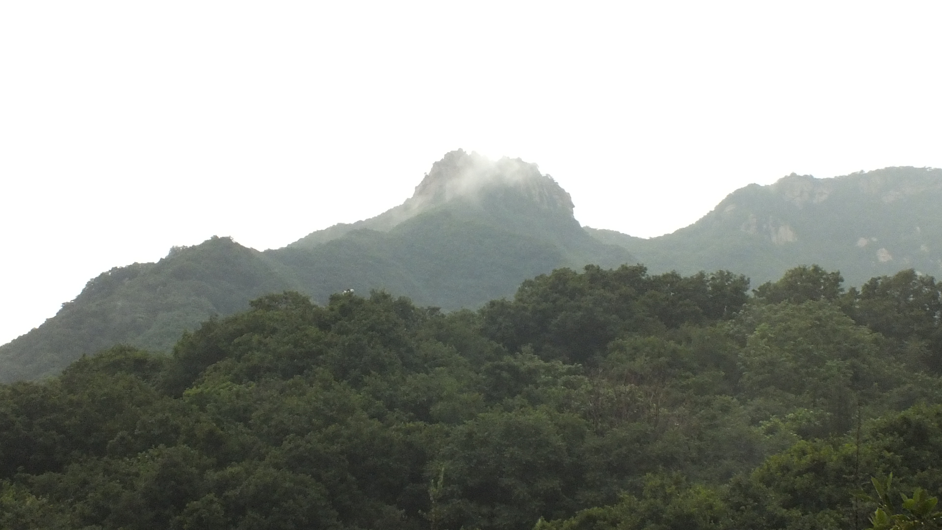 雨中的长白山美景描写,雨中天池