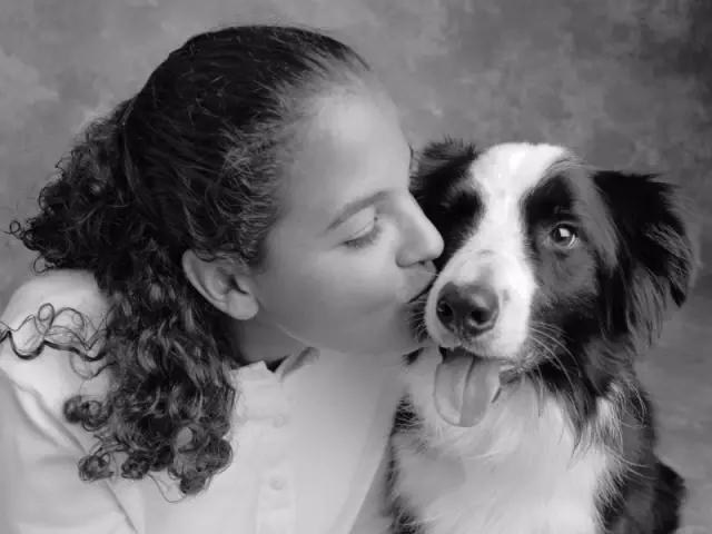 狗是唯一喜欢你的生物,狗是唯一爱主人胜过爱自己的动物