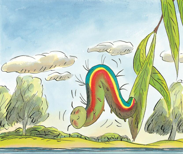 《蝌蚪的诺言》她是他眼中最美的彩虹