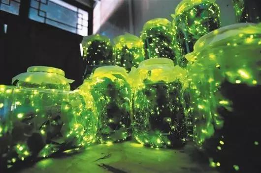 再过6天，一大波大片、音乐节、演唱会来袭！武汉人请守住你的钱