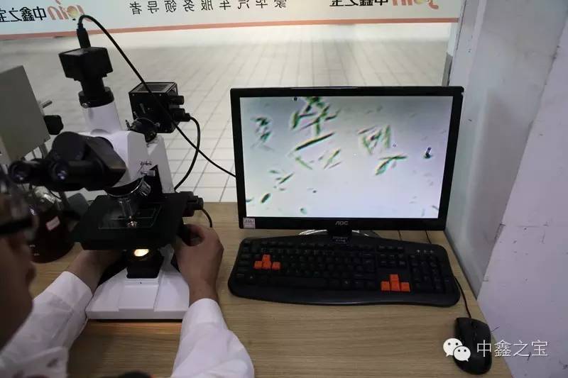 汽车机油多长时间换一次最好视频,汽车机油是看时间换还是看公里数