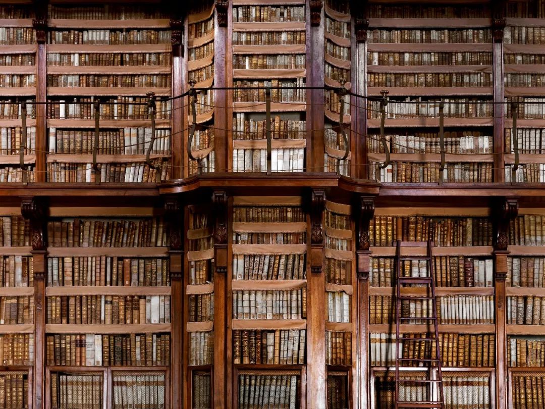 因为去了这些地方，GUCCI做出了“米兰恐怖故事”