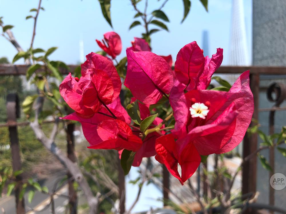 把我的世界拍成电影,把你的世界变成别人的世界