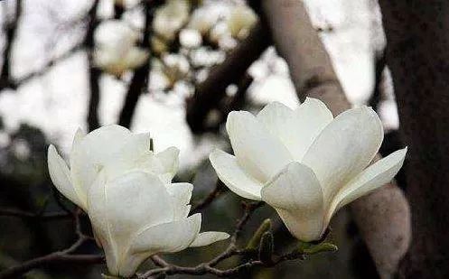 北京游玩一年不重样,一天游北京攻略大全