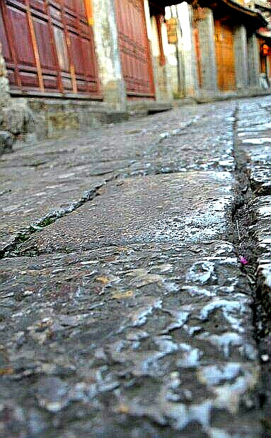 温暖的庇佑[文心-诗思-情怀]