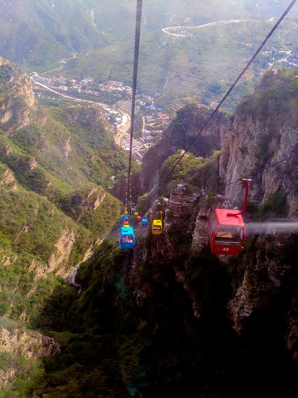 上方山森林动物世界游记,上方山动物园游记四年级