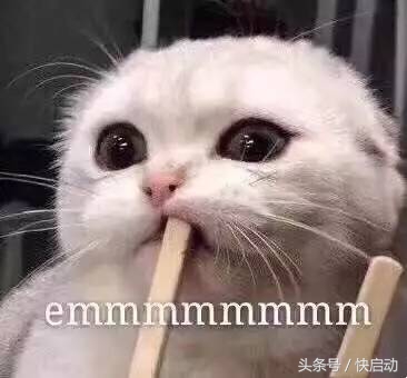 uefi改legacy为啥进不了系统,uefi改回legacy进不去系统