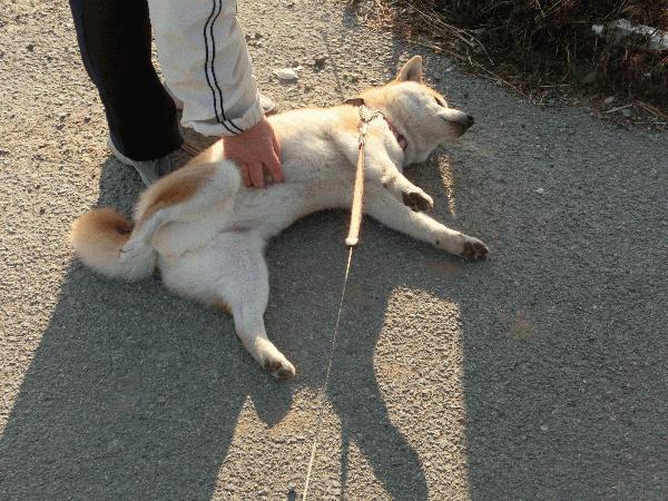 关于肥皂的简短搞笑段子,搞笑视频原来肥皂是这么难捡的