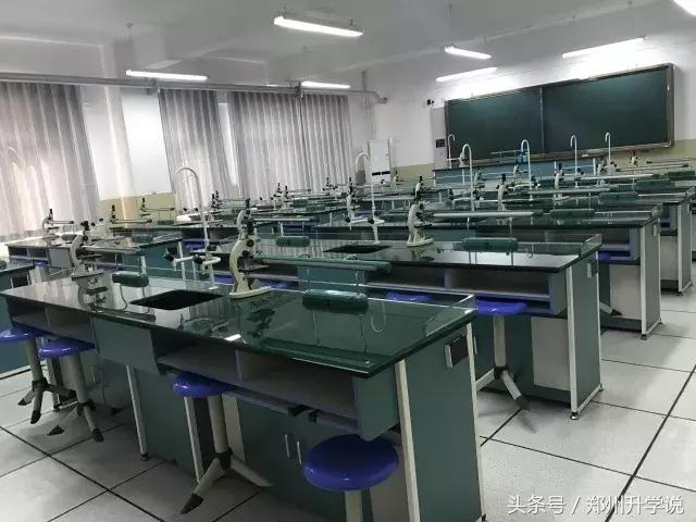 朗悦慧外国语怎样,朗悦慧外国语2020升学率