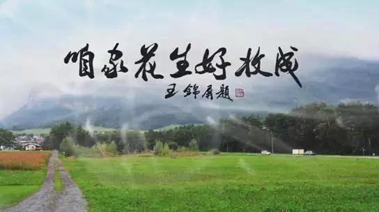 该如何评价这部漫威最佳黑豹,漫威黑豹哪个电影好看