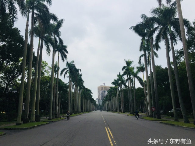 台北爱情故事,投稿东北爱情故事