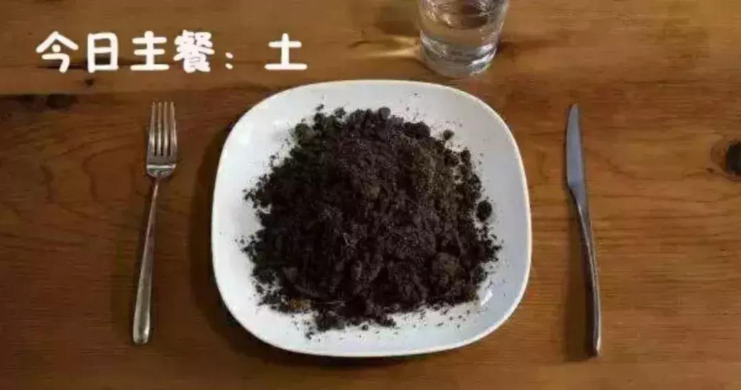 女神节全称国际劳动妇女节,妇女节女王节女神节