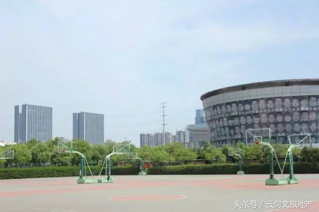 南京十大顶级小学,南京前十名重点小学排名榜