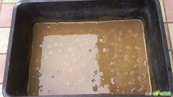 冬眠的正确疗法,冬眠的动物都怎么样越冬