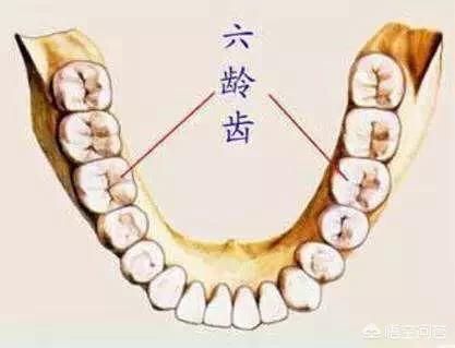 牙齿坏掉了长期不去补有什么影响,四五岁孩子的牙齿坏掉了怎么办