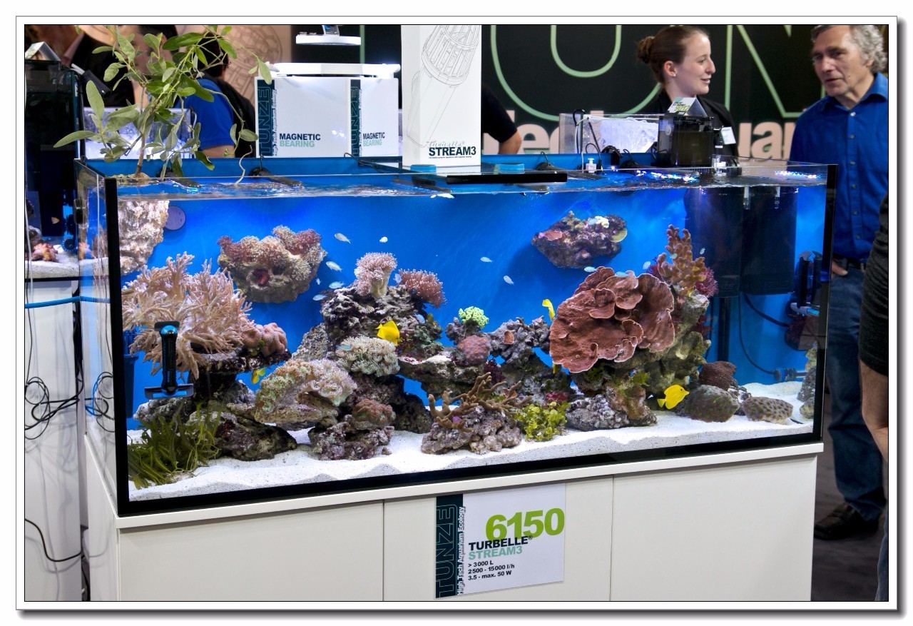 德国纽伦堡宠物展,2018德国纽伦堡宠物展