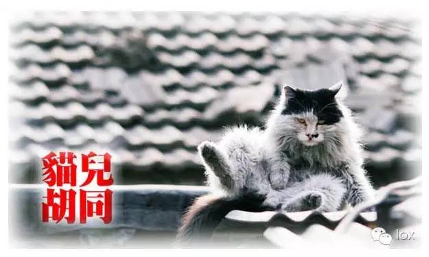 弦外之音作品全集免费在线阅读,弦外之音什么意思