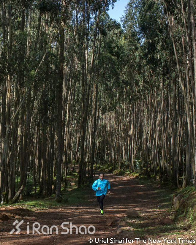 椹媺鏉緎ub220,椹媺鏉緎ub245