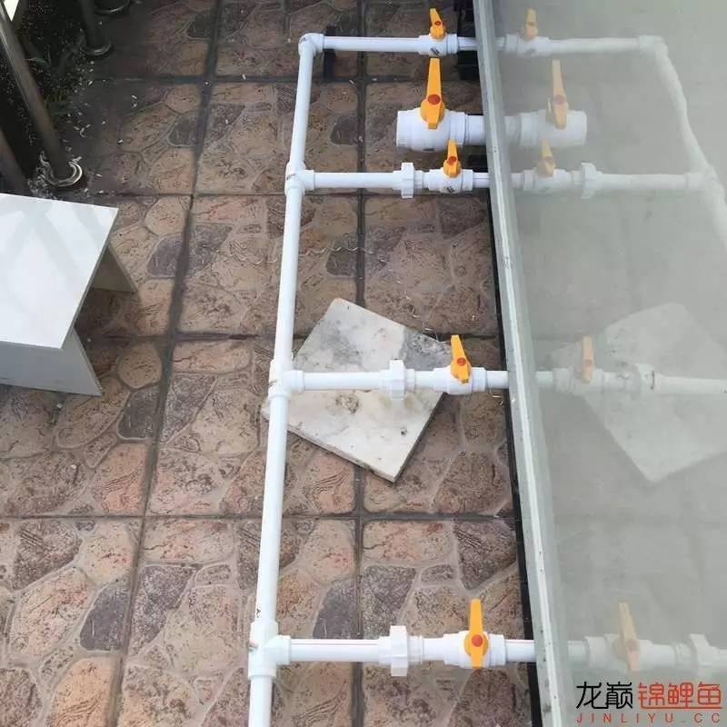 pp塑料锦鲤池,pp板材焊锦鲤池