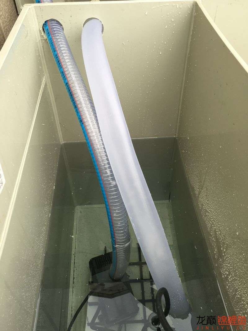 大型pp塑料锦鲤池,超大pp塑料锦鲤池