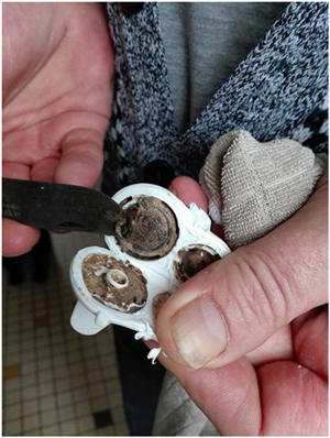 鍎跨姘存澂鍙洖,鍎跨姘存澂鍙戣嚟